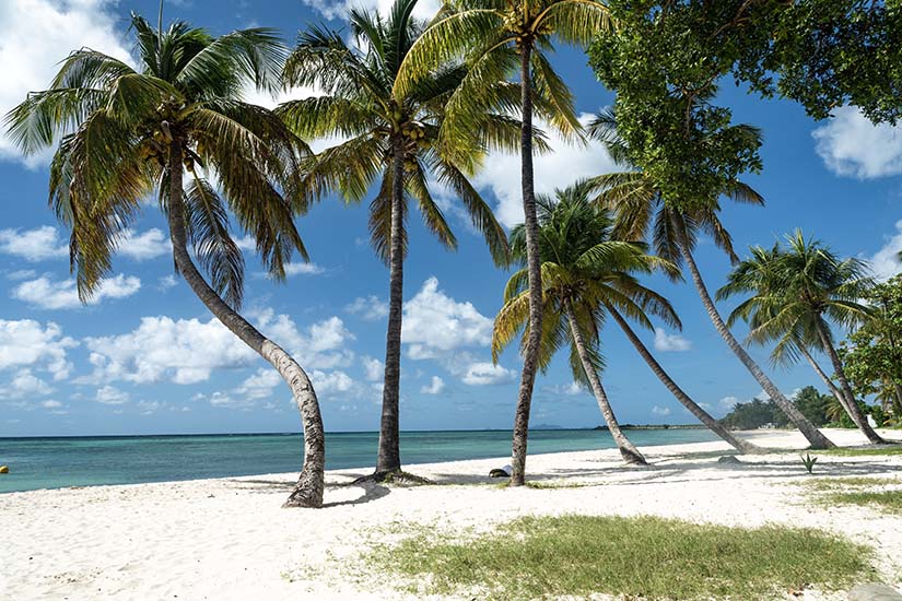 Quelle voiture louer en Guadeloupe ?